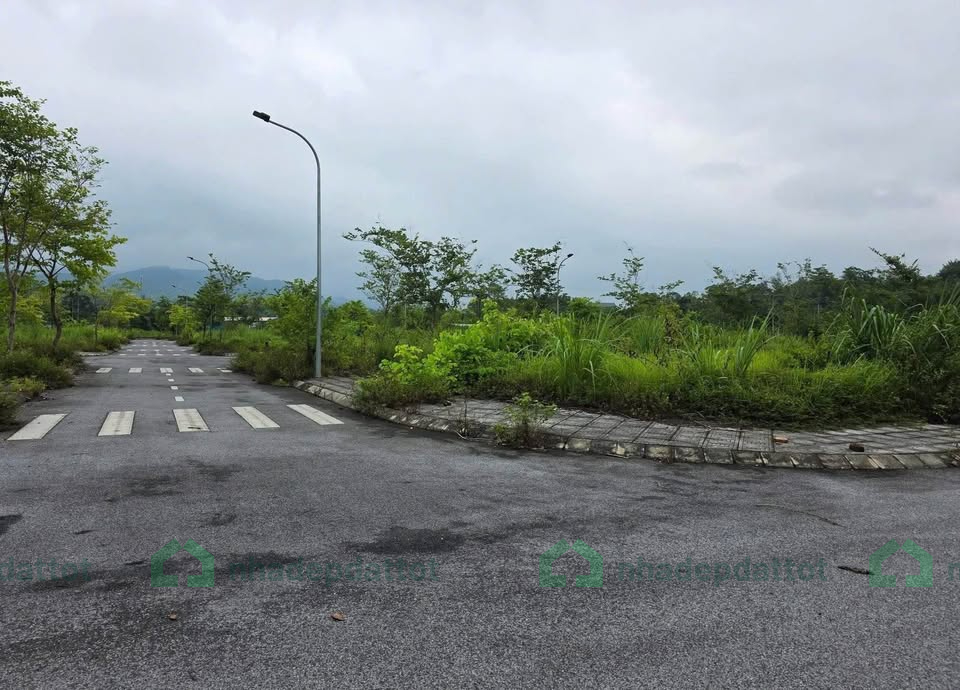 BÁN NHANH LÔ ĐẤT 85M² FULL THỔ CƯ – MẶT TIỀN 7M