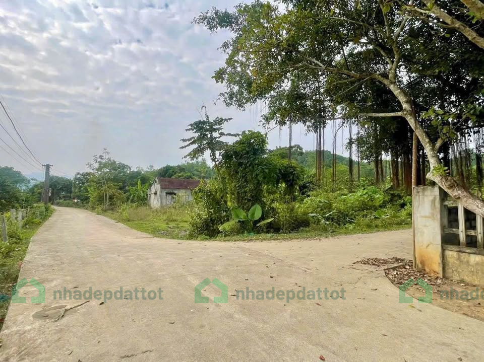 BÁN ĐẤT NHÀ VƯỜN – ĐƯỜNG Ô TÔ – ĐOÀN KẾT, YÊN THUỶ, HOÀ BÌNH – GIÁ SIÊU RẺ