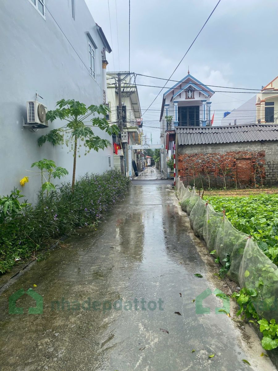 SIÊU PHẨM F0 – GIÁ CHỈ HƠN 10 TRIỆU/M² – TẠI AN TIẾN, MỸ ĐỨC, HÀ NỘI