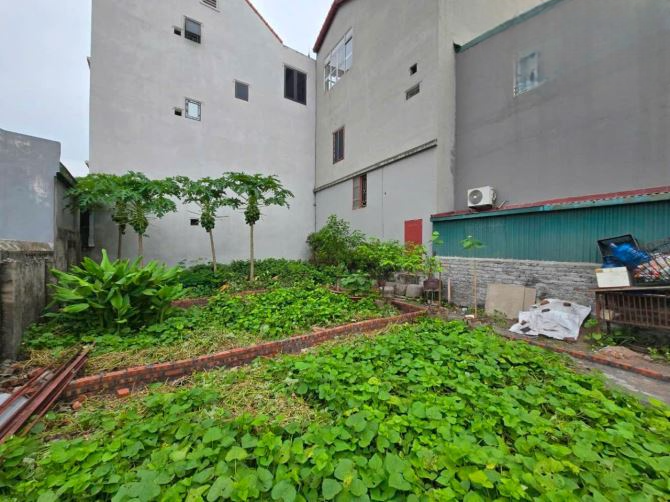 RẤT HIẾM 💥 BÁN ĐẤT XUÂN ĐỖ - LONG BIÊN - NỞ HẬU - GẦN PHÂN LÔ - 35M² 💸 2.6 TỶ