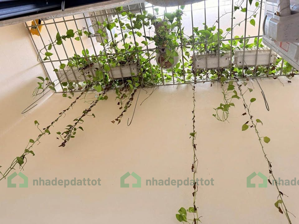 Bán nhà 4 tầng đẹp phân lô vỉa hè – Đa Sỹ, Hà Đông – 55m2