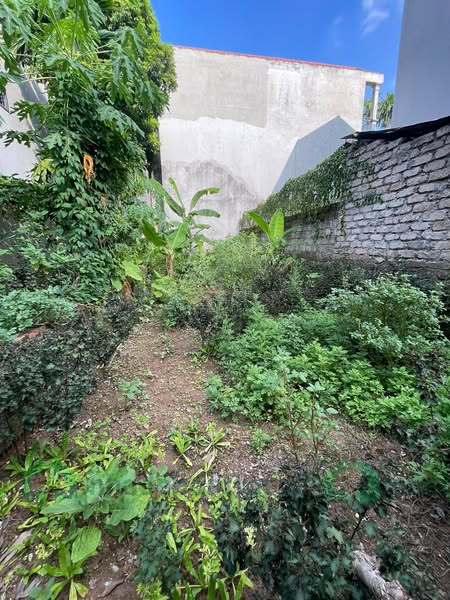CHÍNH CHỦ CẦN BÁN LÔ ĐẤT 60M² – AN THẮNG, BIÊN GIANG, HÀ ĐÔNG, HÀ NỘI