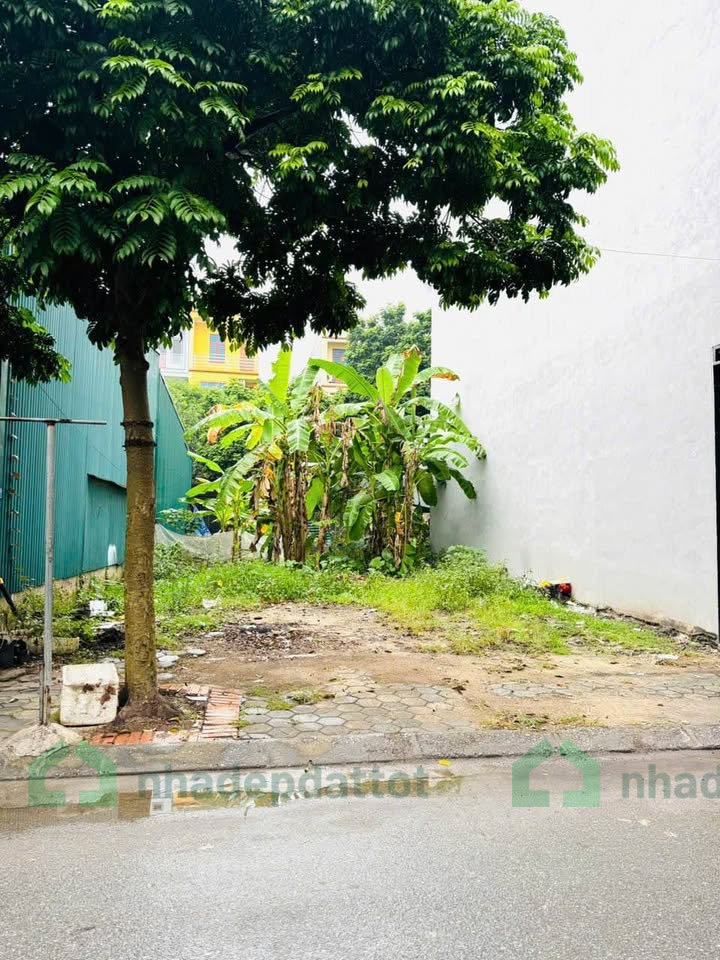 Chính chủ nhờ bán lô đất đẹp – khu D, phường Yên Nghĩa, Hà Đông - 50m2 - Nhỉnh 12 tỷ