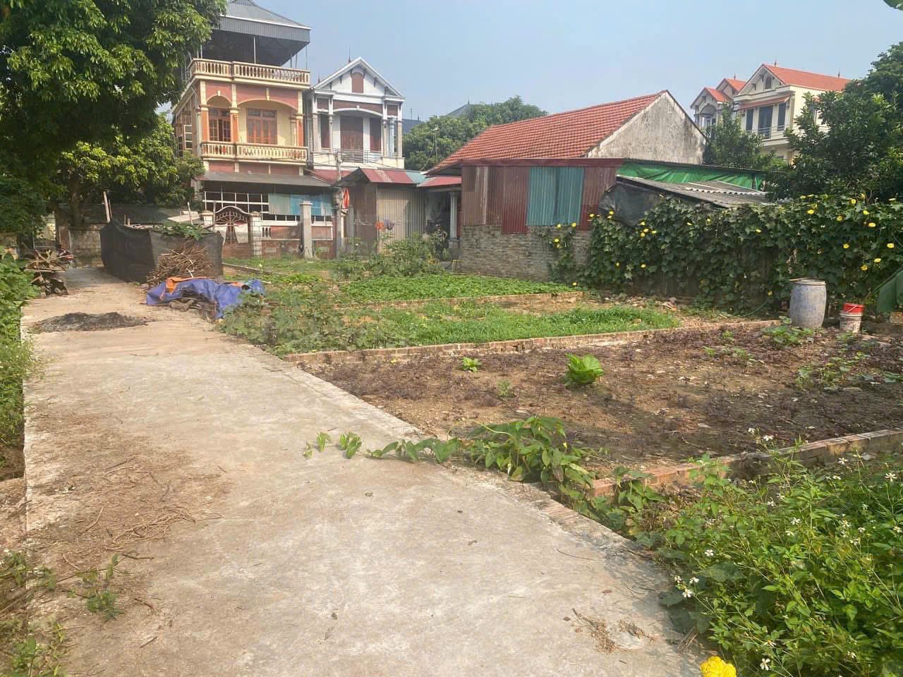 CHÍNH CHỦ BÁN ĐẤT ĐẸP – VÕNG XUYÊN, PHÚC THỌ, HÀ NỘI