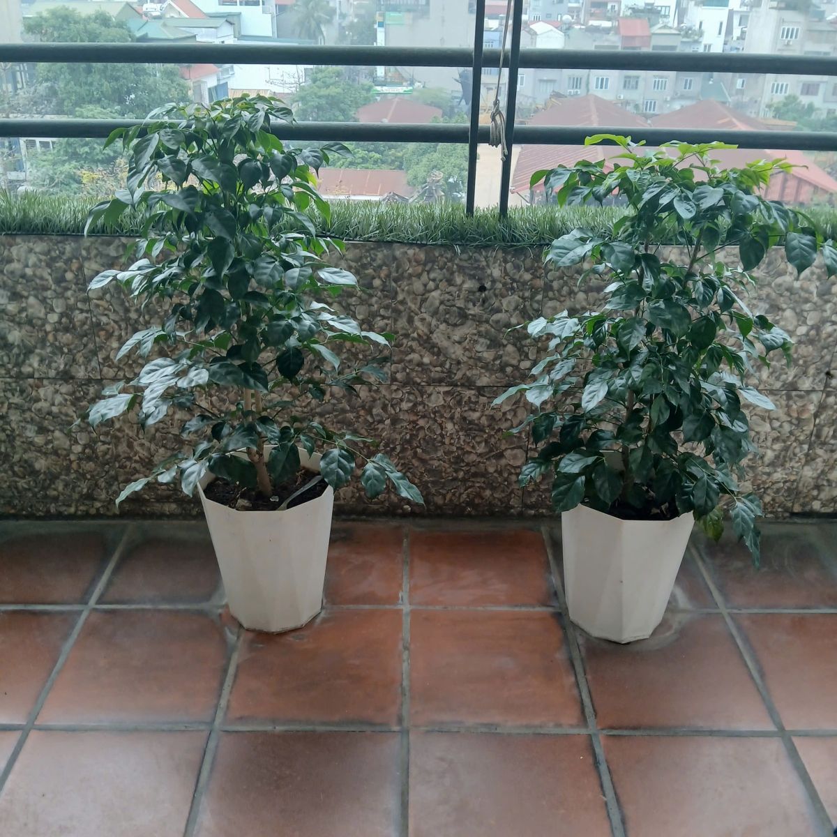 🏡 BÁN CĂN HỘ KHU ĐTM VIỆT HƯNG – LONG BIÊN – HÀ NỘI 🏡