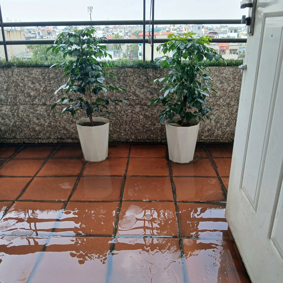 🏡 BÁN CĂN HỘ KHU ĐTM VIỆT HƯNG – LONG BIÊN – HÀ NỘI 🏡