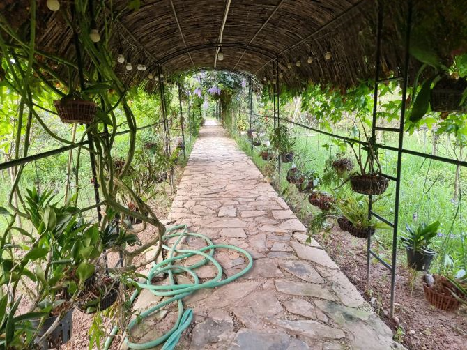 Cần nhượng khu vườn 2000m2 ngõ 76 An Dương-Tây Hồ-Hà Nội, đã có nhà, tiện kinh doanh 4tỷ