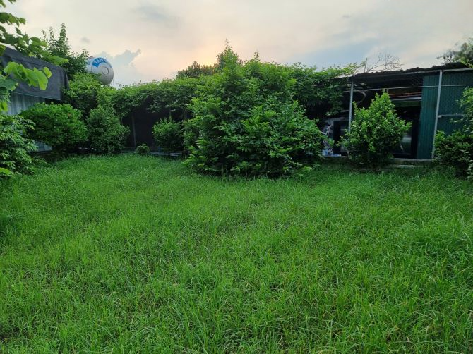 Cần nhượng khu vườn 2000m2 ngõ 76 An Dương-Tây Hồ-Hà Nội, đã có nhà, tiện kinh doanh 4tỷ