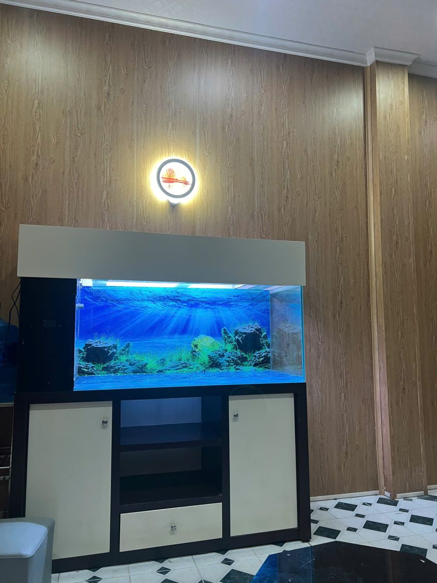 Bán gấp nhà 2 tầng thành phố Hải Phòng. Giá hợp lý, thương lượng chính chủ.