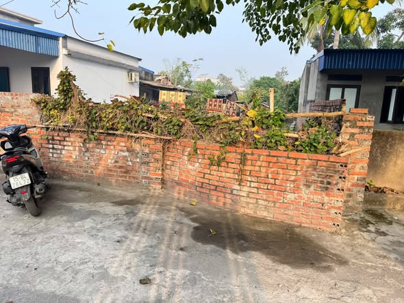 🔥 BÁN DUY NHẤT 1 LÔ ĐẤT ĐƯỜNG NHỰA 5M – AN THÁI, AN LÃO 🔥