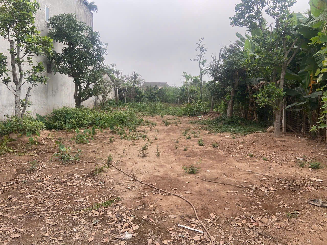 🌳🌳🌳 LÔ ĐẤT ĐẸP MẶT ĐƯỜNG 402 TƯ THỦY – DƯƠNG KINH – TIỀM NĂNG CAO 👍