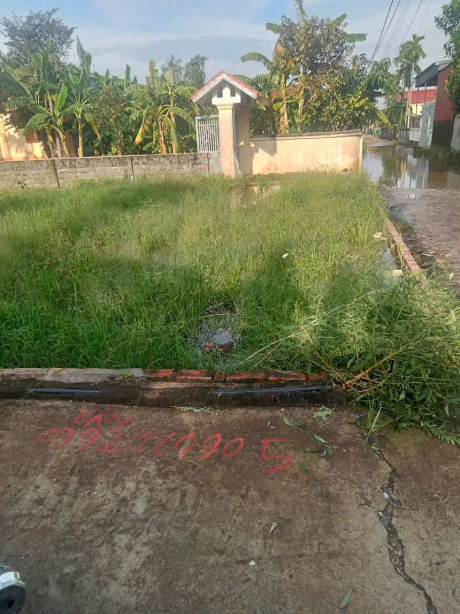 Bán Đất 66m² – Kiến Thụy, Hải Phòng – Lô Góc 2 Mặt Ngõ