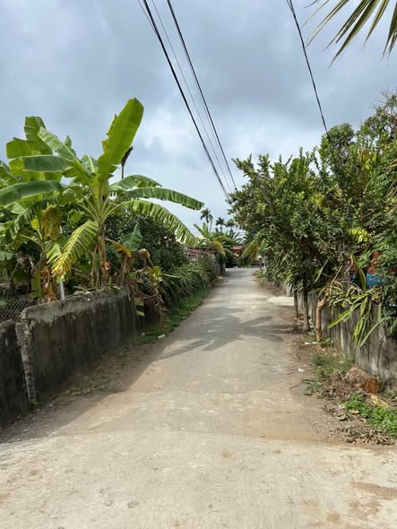 🏡 BÁN LÔ GÓC MẶT ĐƯỜNG THU DU – MINH TÂN – KIẾN THỤY