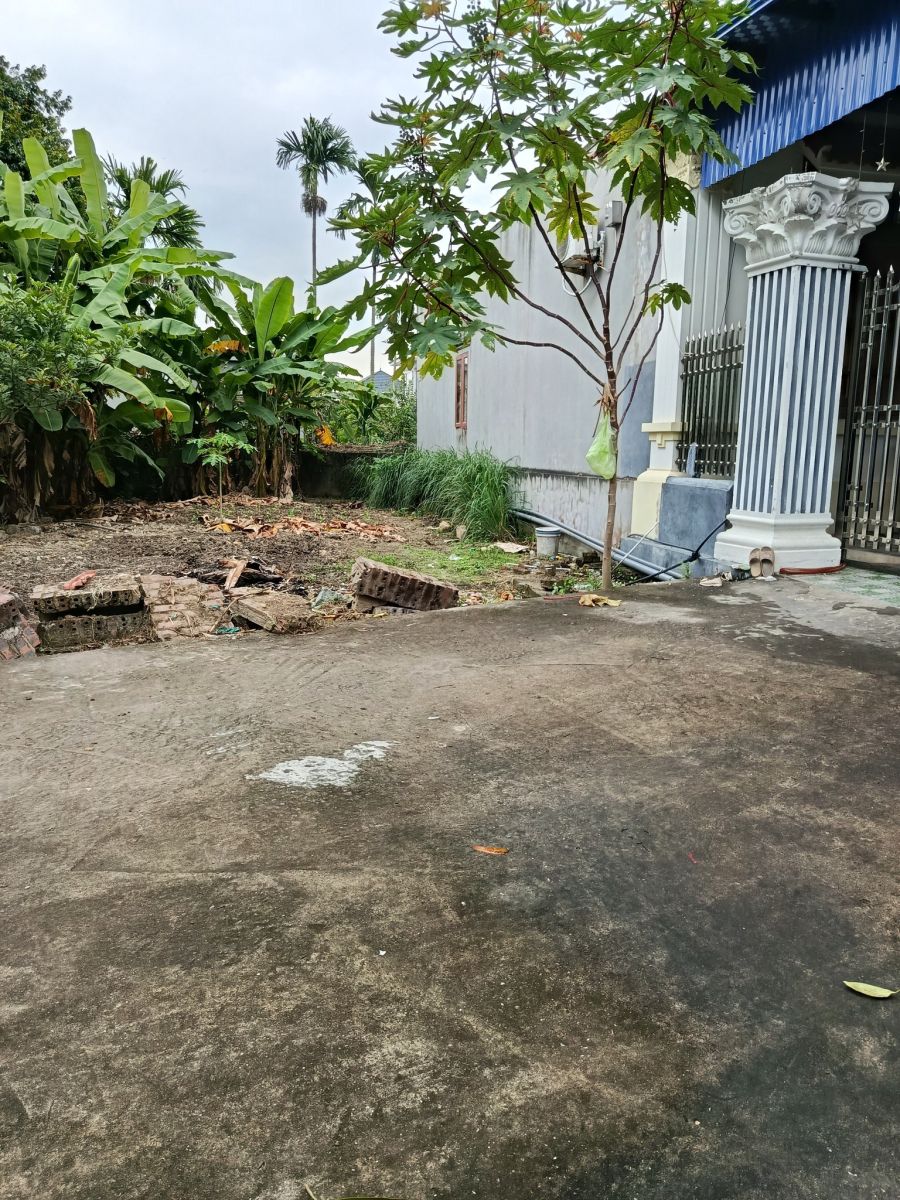 Bán Đất 80m² – Lâm Động, TP Thủy Nguyên, Hải Phòng
