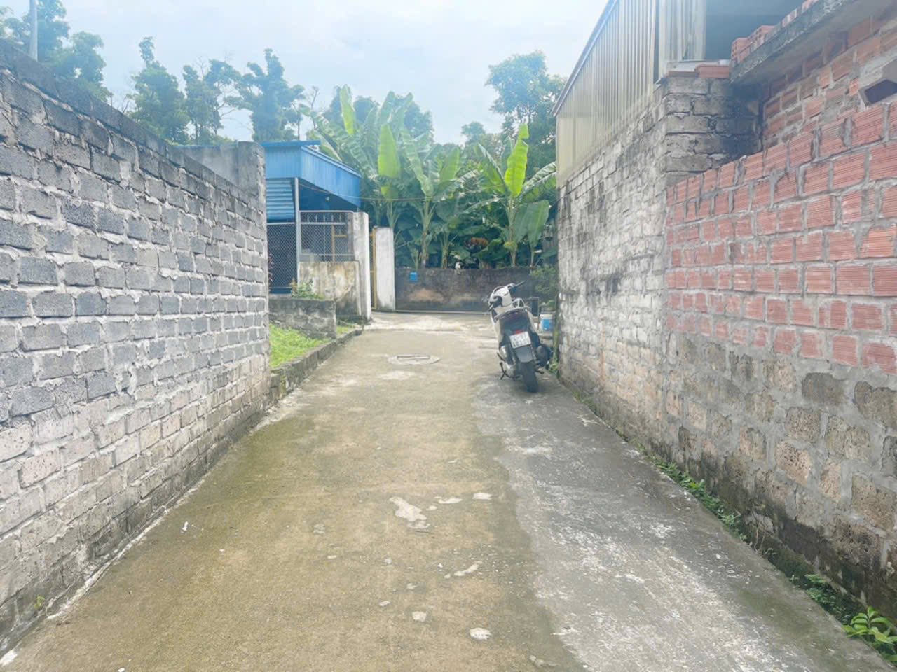 Bán Đất 88m² – Việt Khê, Thủy Nguyên, Hải Phòng – Mặt Tiền 4,55m