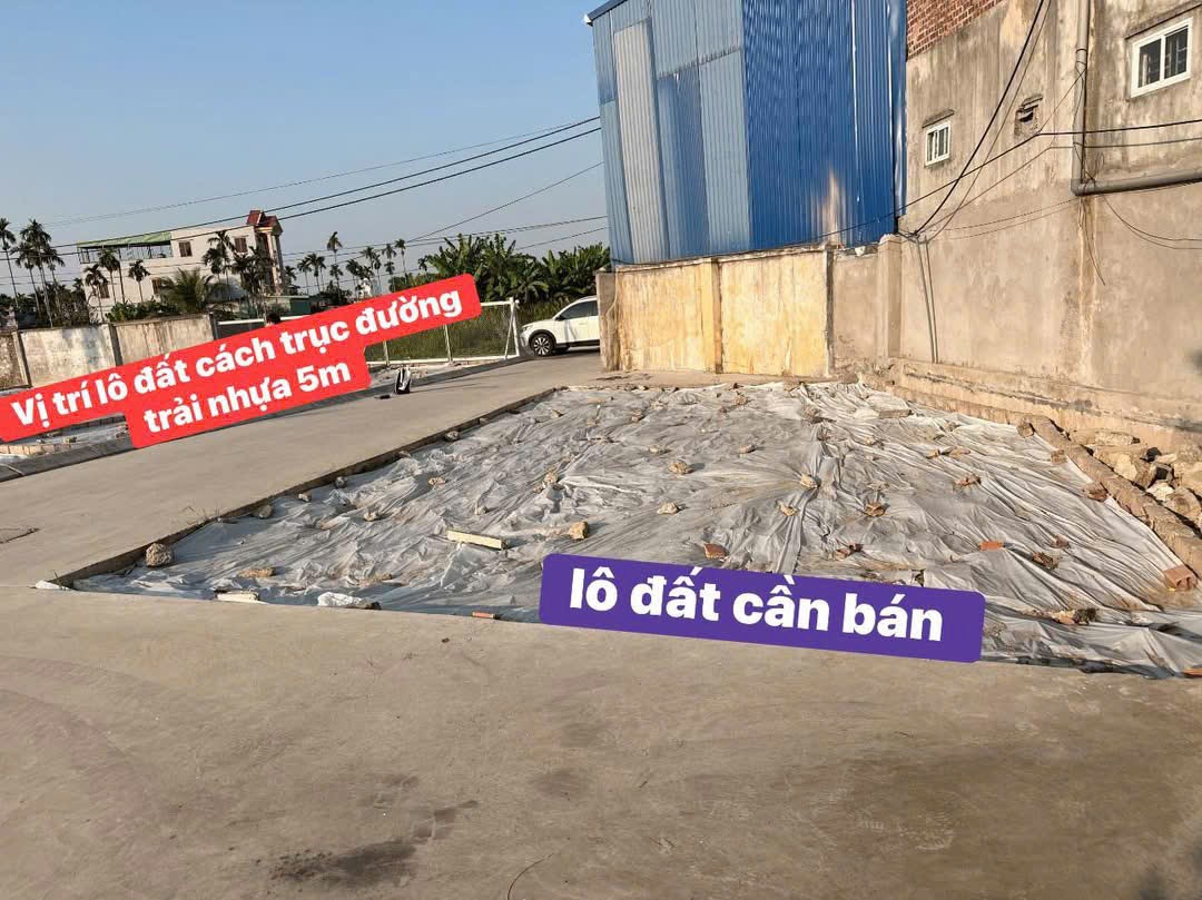 🔥 HÀNG ĐẦU TƯ – LÔ GÓC 3 MẶT THOÁNG – LÂM ĐỘNG, THUỶ NGUYÊN 🔥