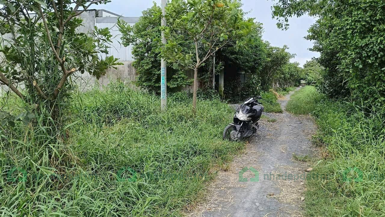 CHÍNH CHỦ CẦN BÁN ĐẤT ĐẸP – XÃ TÂN THẠNH ĐÔNG
