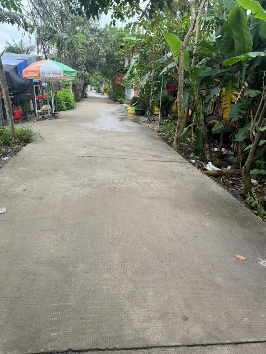 🏡 CHÍNH CHỦ BÁN ĐẤT 2.500M² – VĨNH LỘC A, BÌNH CHÁNH, TP. HỒ CHÍ MINH 🏡