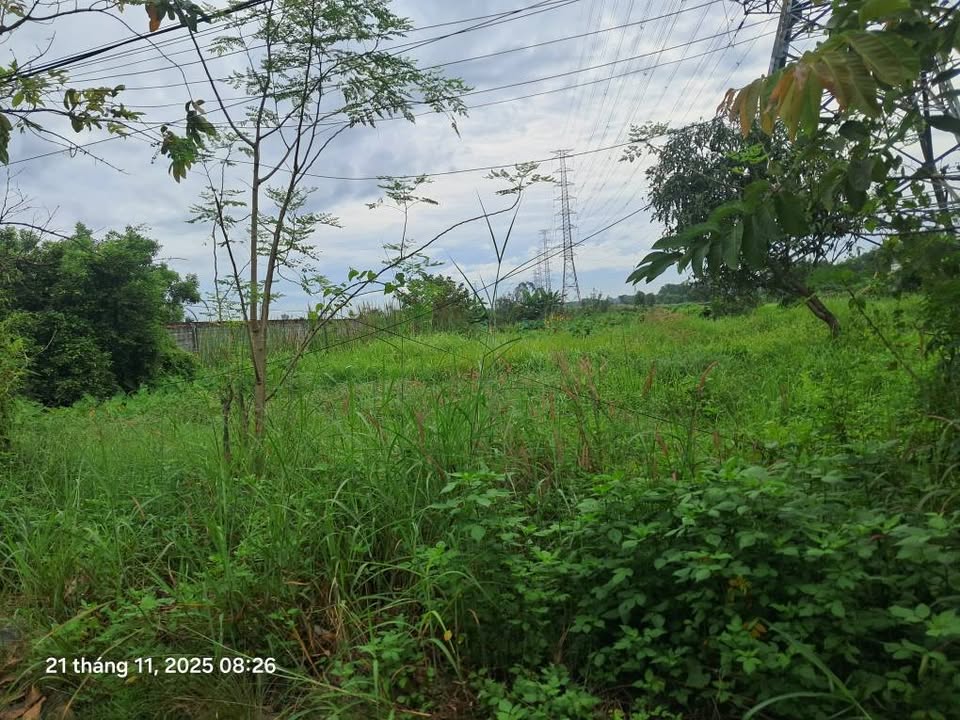 Bán đất mặt tiền Bình Mỹ Củ Chi – 2.250,8m² (100m² thổ cư) – Giá 4 tỷ TL