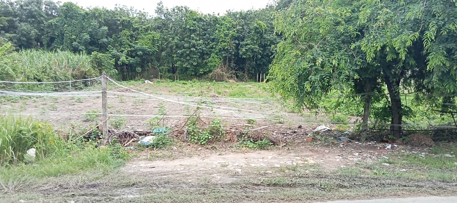 🔥 BÁN GẤP LÔ ĐẤT DIỆN TÍCH LỚN – VỊ TRÍ TIỀM NĂNG CAO TẠI CỦ CHI.ĐẤT ĐẸP -GIÁ TỐT. 🔥