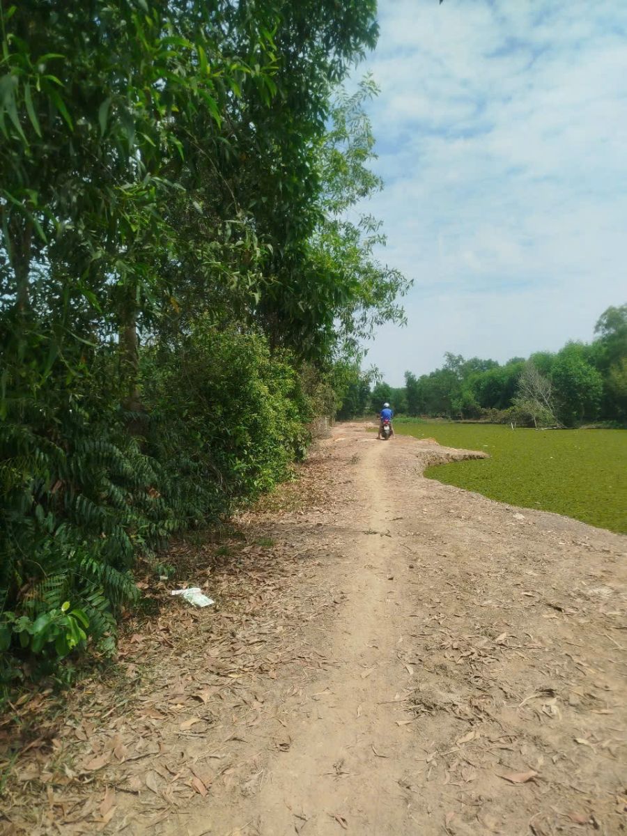 BÁN ĐẤT DIỆN TÍCH LỚN 4.238M2 – PHƯỚC HIỆP, CỦ CHI, TP.HCM