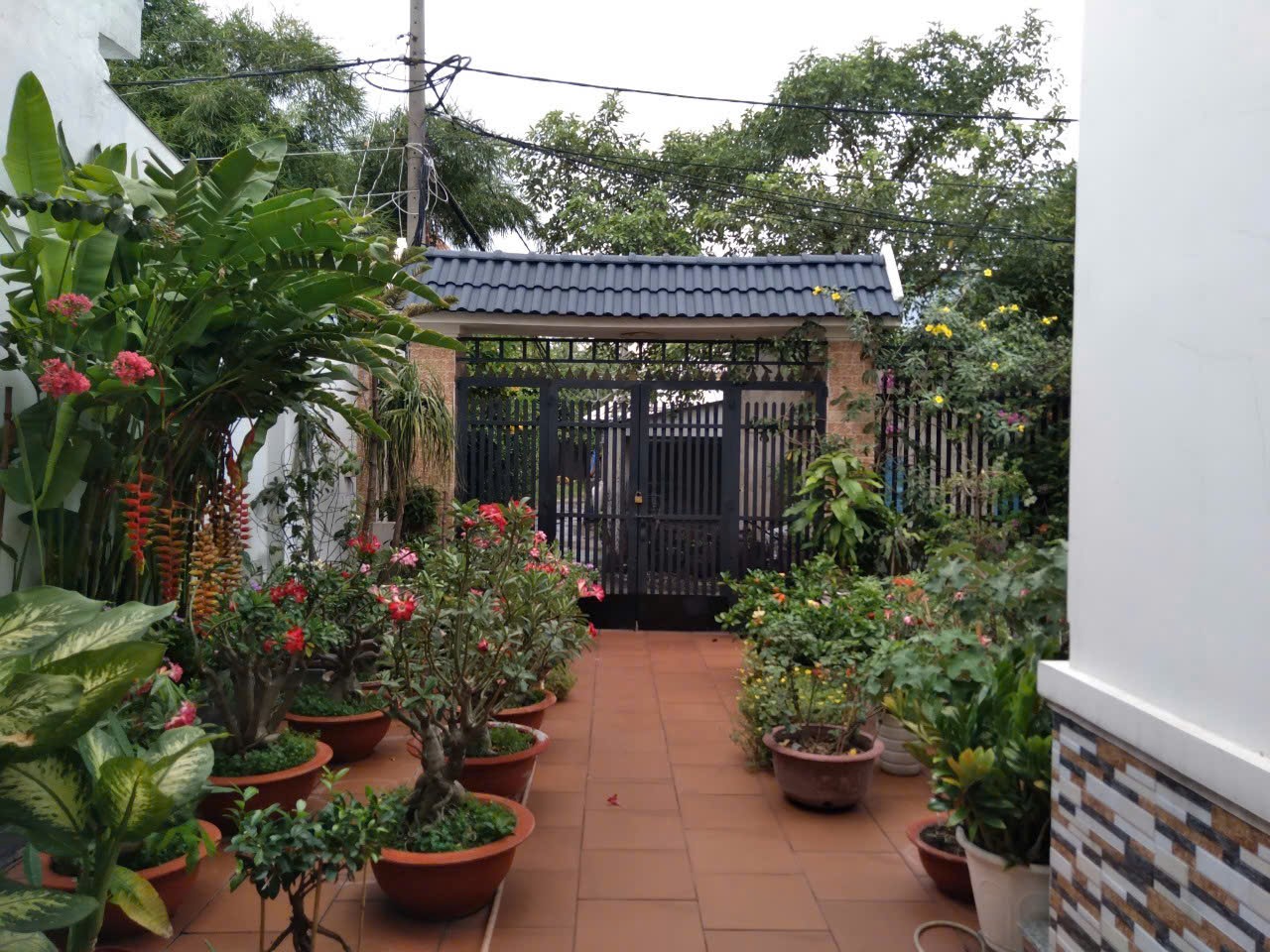 Bán nhà 174m² Hóc Môn – TP.HCM, vị trí đẹp, giá chỉ 8 tỷ