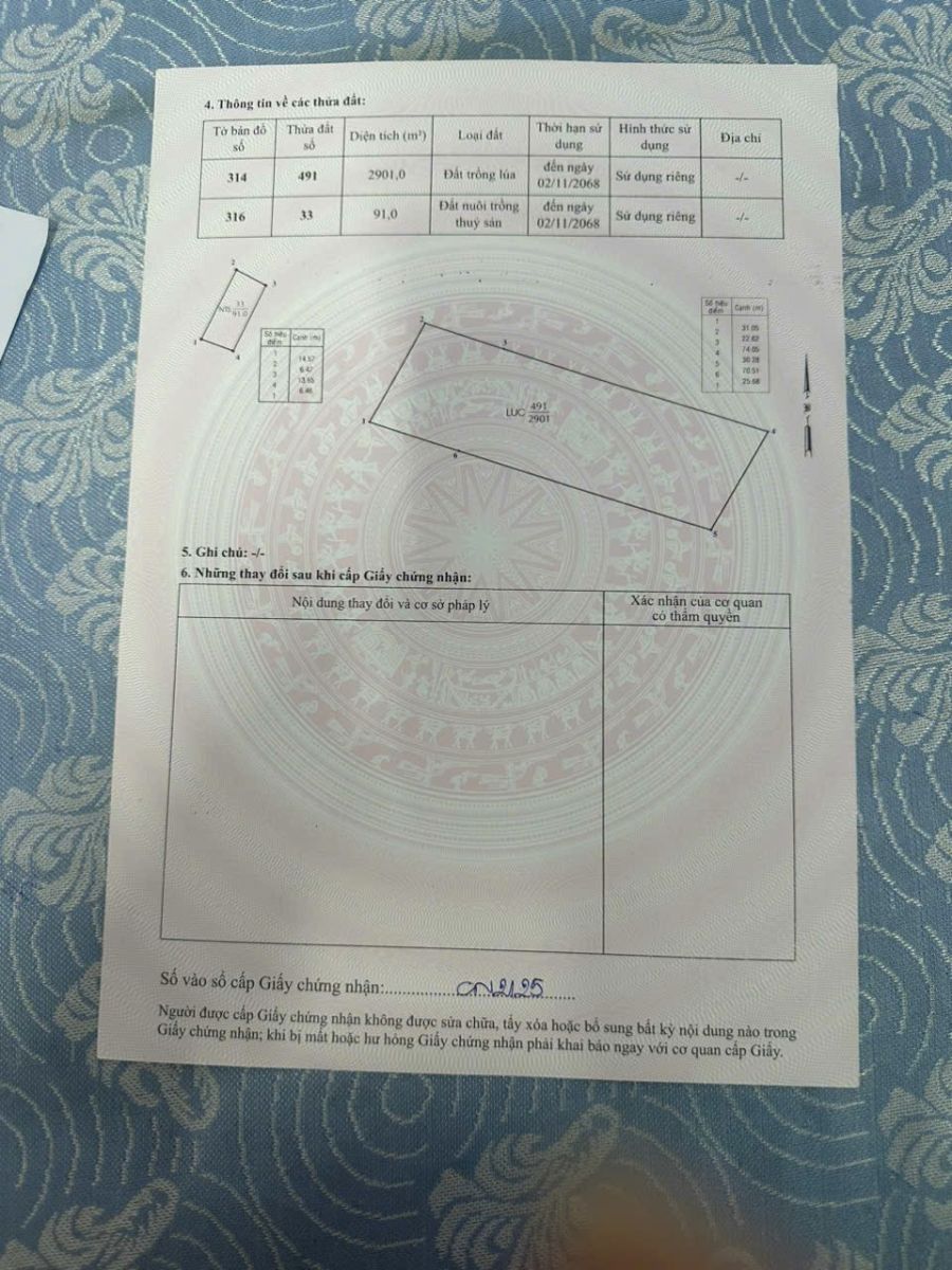 🔥🔥 LÔ ĐẤT CỰC PHẨM – SIÊU LỚN Ở BÌNH ĐÔNG, - TP.HCM  - 2992M2 – KHÔNG CÓ LÔ THỨ HAI 🔥🔥