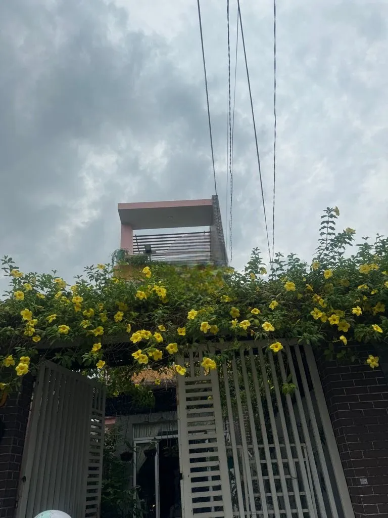 Bán nhà đường mai hắc đế phường 15 q8 5x30m trệt 2 lầu st giá 11 tỷ