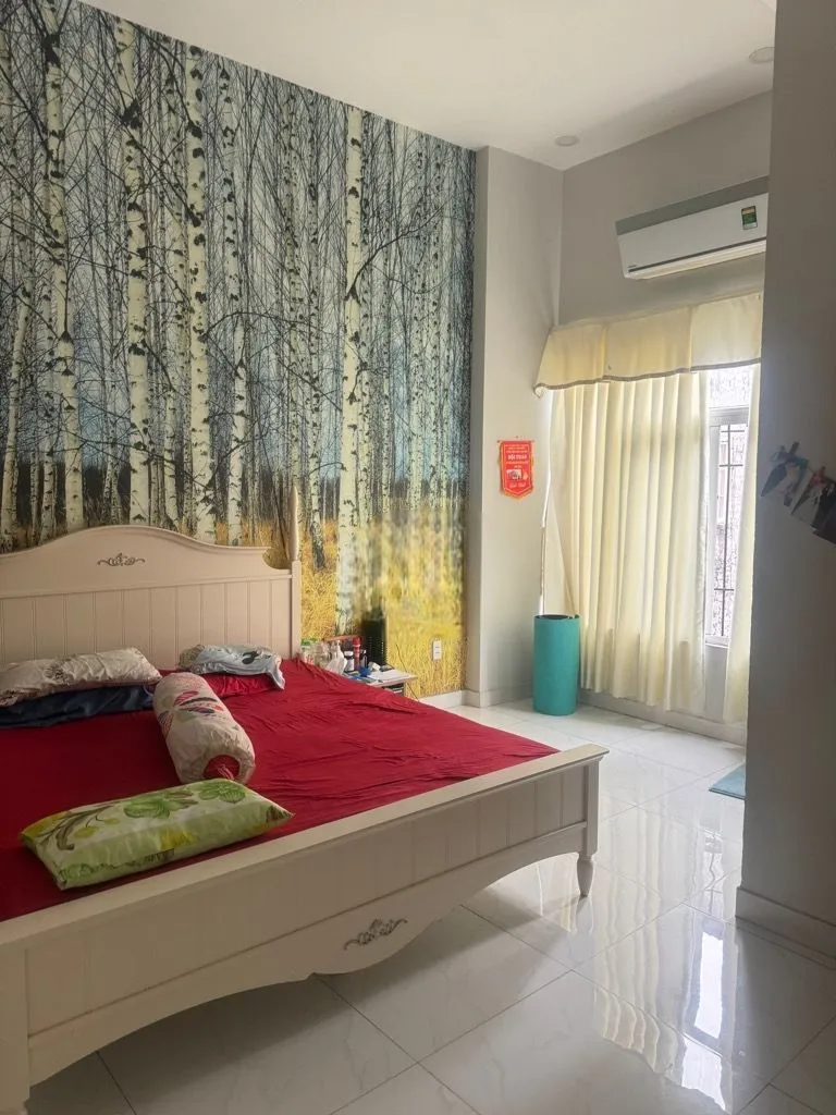Bán nhà đường mai hắc đế phường 15 q8 5x30m trệt 2 lầu st giá 11 tỷ