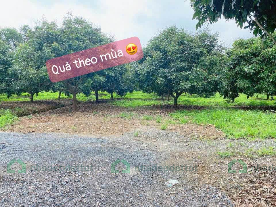 Cần bán gấp 2ha đất siêu đẹp – Liên Sơn, Lương Sơn, Hòa Bình
