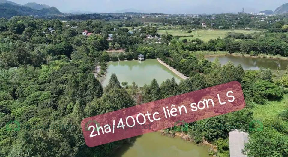 Cần bán gấp 2ha đất siêu đẹp – Liên Sơn, Lương Sơn, Hòa Bình