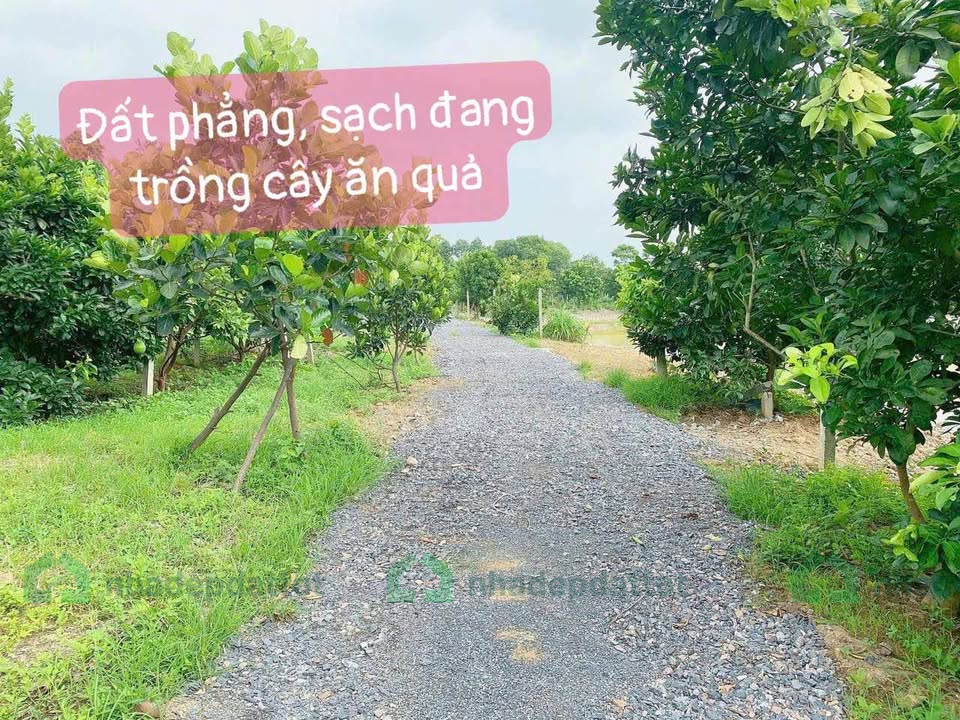 Cần bán gấp 2ha đất siêu đẹp – Liên Sơn, Lương Sơn, Hòa Bình