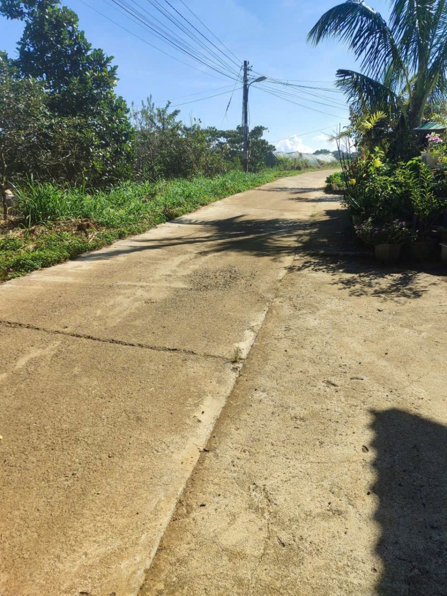 🏡 BÁN NHÀ ĐẸP – KHU DÂN CƯ YÊN TĨNH, VIEW THOÁNG MÁT – TP BẢO LỘC - 2 TỶ 6 🌿