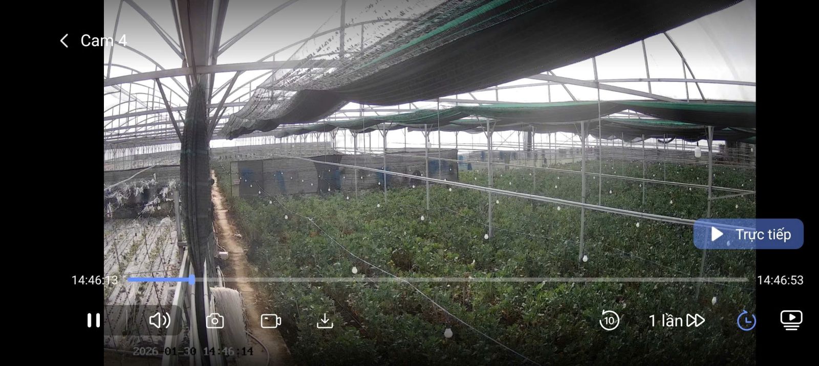 🌿 BÁN NHÀ KÍNH CÔNG NGHỆ CAO – 12.000m² – D’RAN, LÂM ĐỒNG 🌿