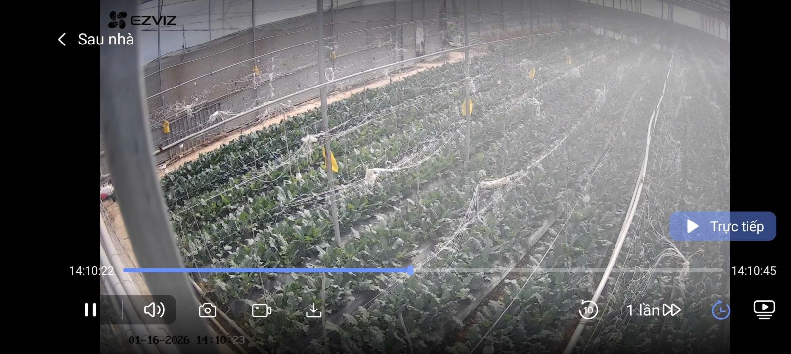 🌿 BÁN NHÀ KÍNH CÔNG NGHỆ CAO – 12.000m² – D’RAN, LÂM ĐỒNG 🌿