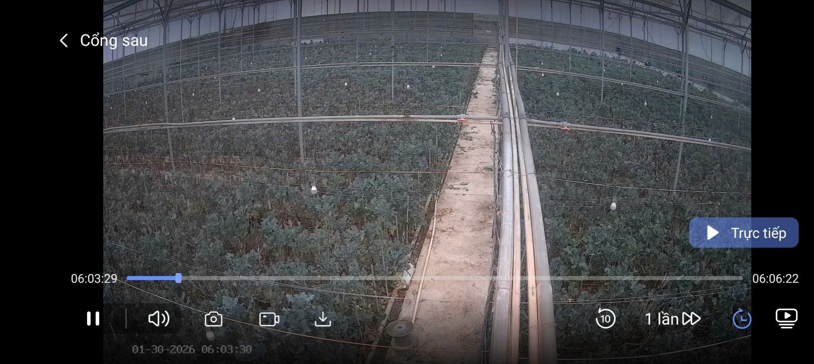 🌿 BÁN NHÀ KÍNH CÔNG NGHỆ CAO – 12.000m² – D’RAN, LÂM ĐỒNG 🌿