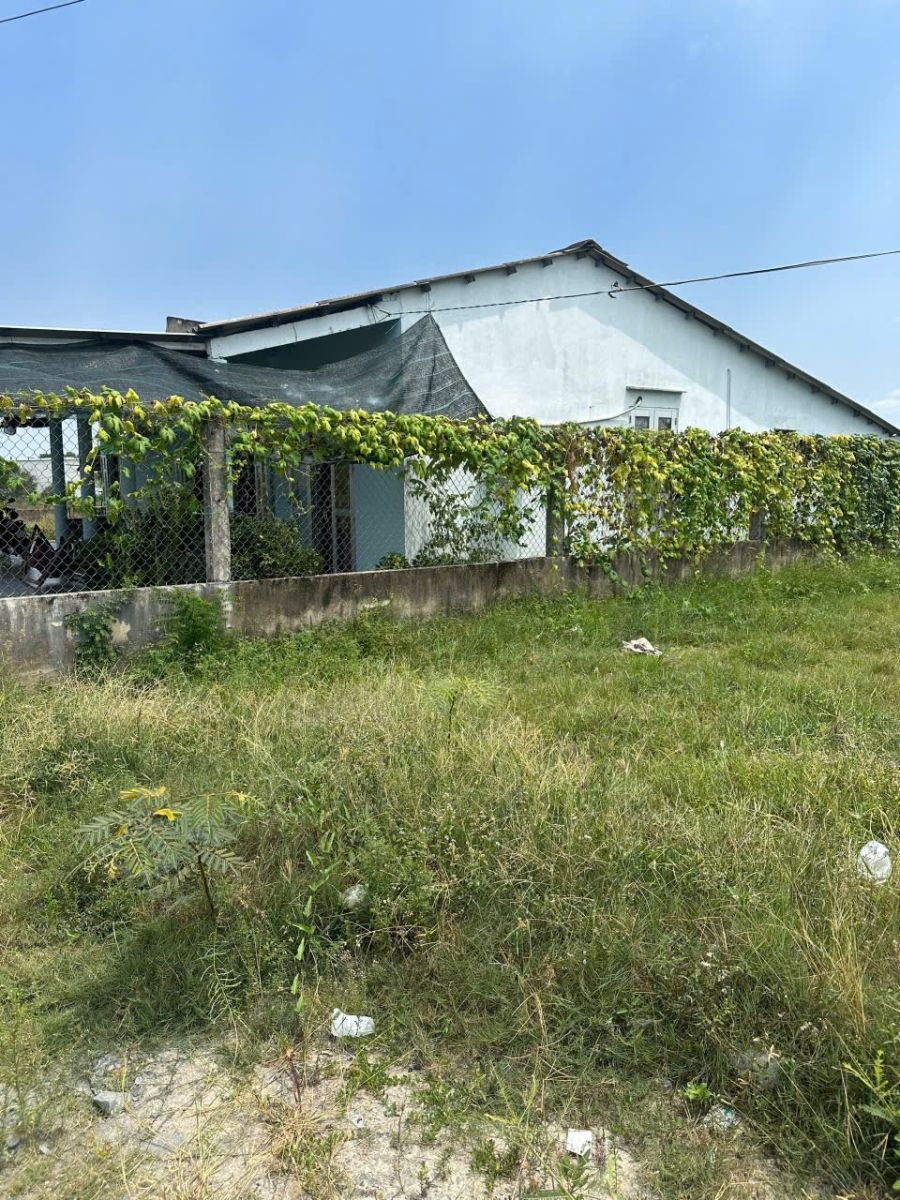✨ Cần bán gấp lô đất trong khu dân cư Long Cang Residence ✨