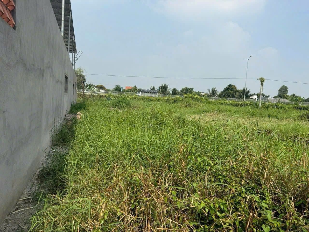 🏡 BÁN ĐẤT THỔ CƯ 2 MẶT TIỀN 223M² – PHƯỚC LÝ, CẦN GIUỘC – GIÁ 3,9 TỶ