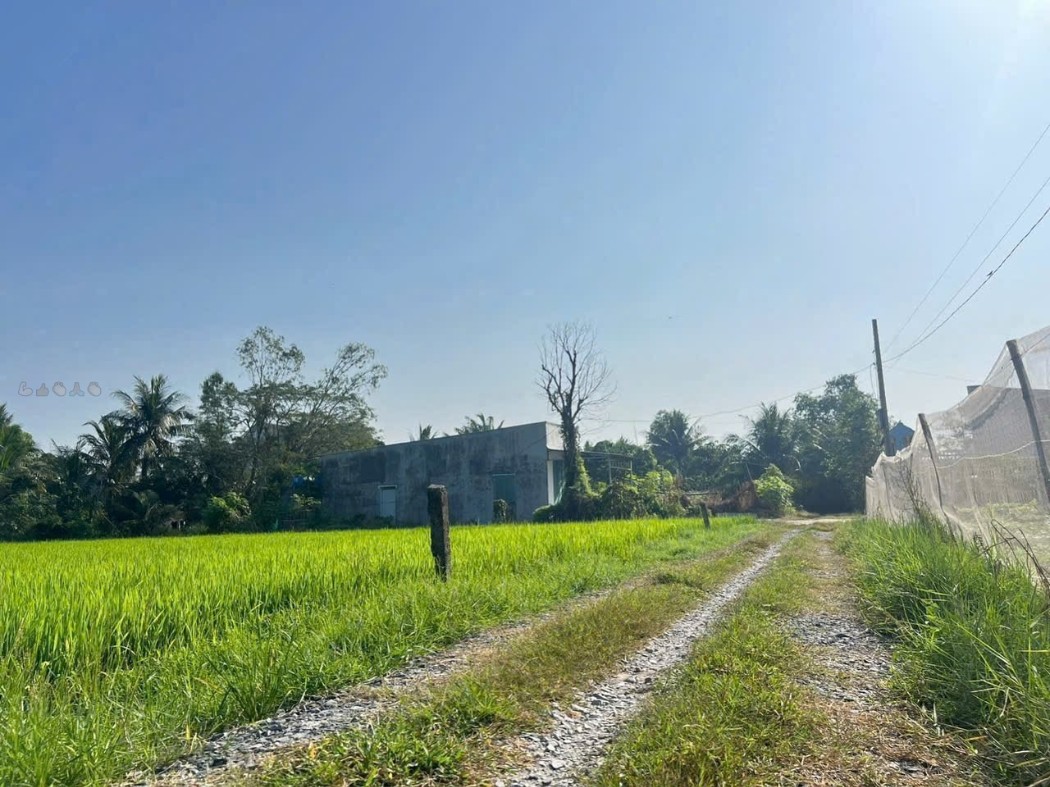 🌳 BÁN ĐẤT ĐỨC HÒA – VIEW CÔNG VIÊN VÕ VĂN TẦN