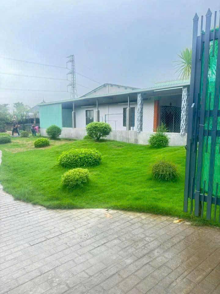 🌿 BÁN 1.000m² ĐẤT NHÀ VƯỜN – CÓ 120m² THỔ CƯ – LẠC TẤN, TÂN TRỤ, LONG AN