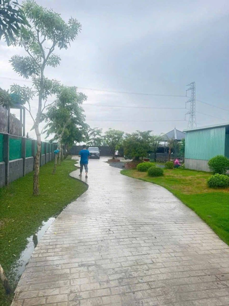🌿 BÁN 1.000m² ĐẤT NHÀ VƯỜN – CÓ 120m² THỔ CƯ – LẠC TẤN, TÂN TRỤ, LONG AN