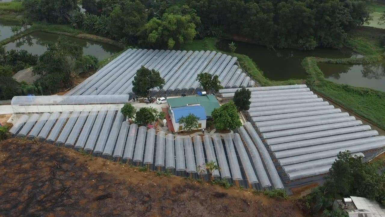 BÁN ĐẤT 5918m² TẠI THANH SƠN, PHÚ THỌ – GIÁ CHỈ 10 TỶ (THƯƠNG LƯỢNG) | VỊ TRÍ ĐẸP, TIỀM NĂNG ĐẦU TƯ CAO