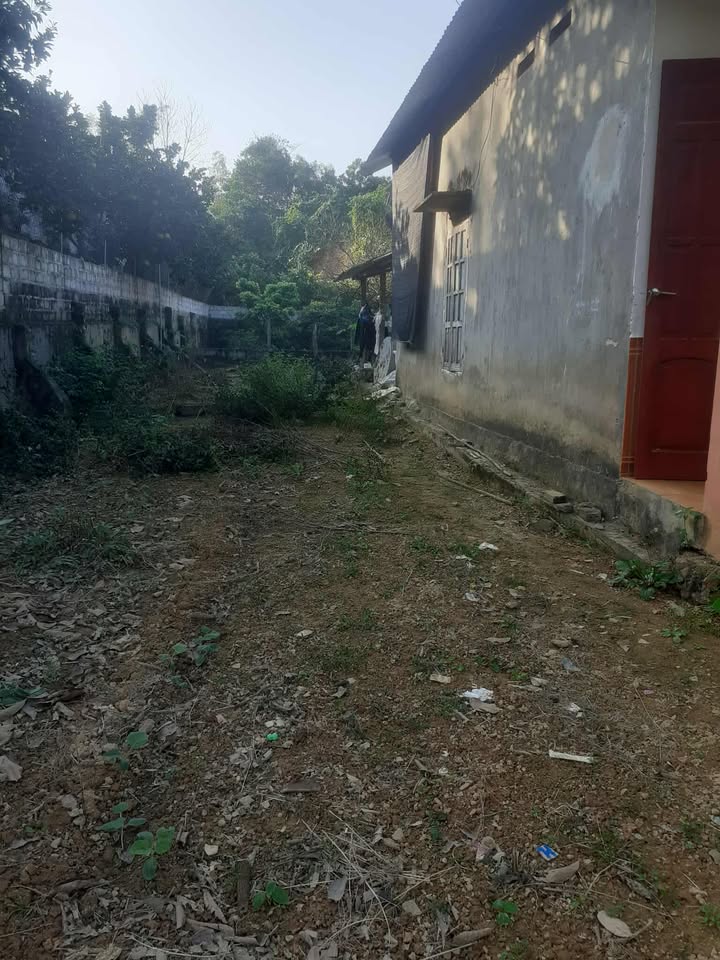 Bán đất 420m² tại Đoan Hùng, Phú Thọ – Giá chỉ 1,3 tỷ, đầu tư quá tốt