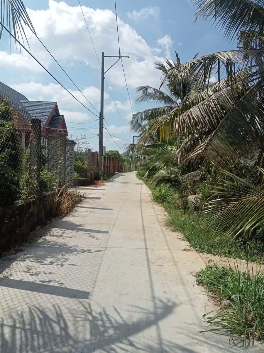 BÁN ĐẤT VƯỜN DỪA - 700 TRIỆU - HƠN 1000M2 - CHÂU THÀNH, TIỀN GIANG