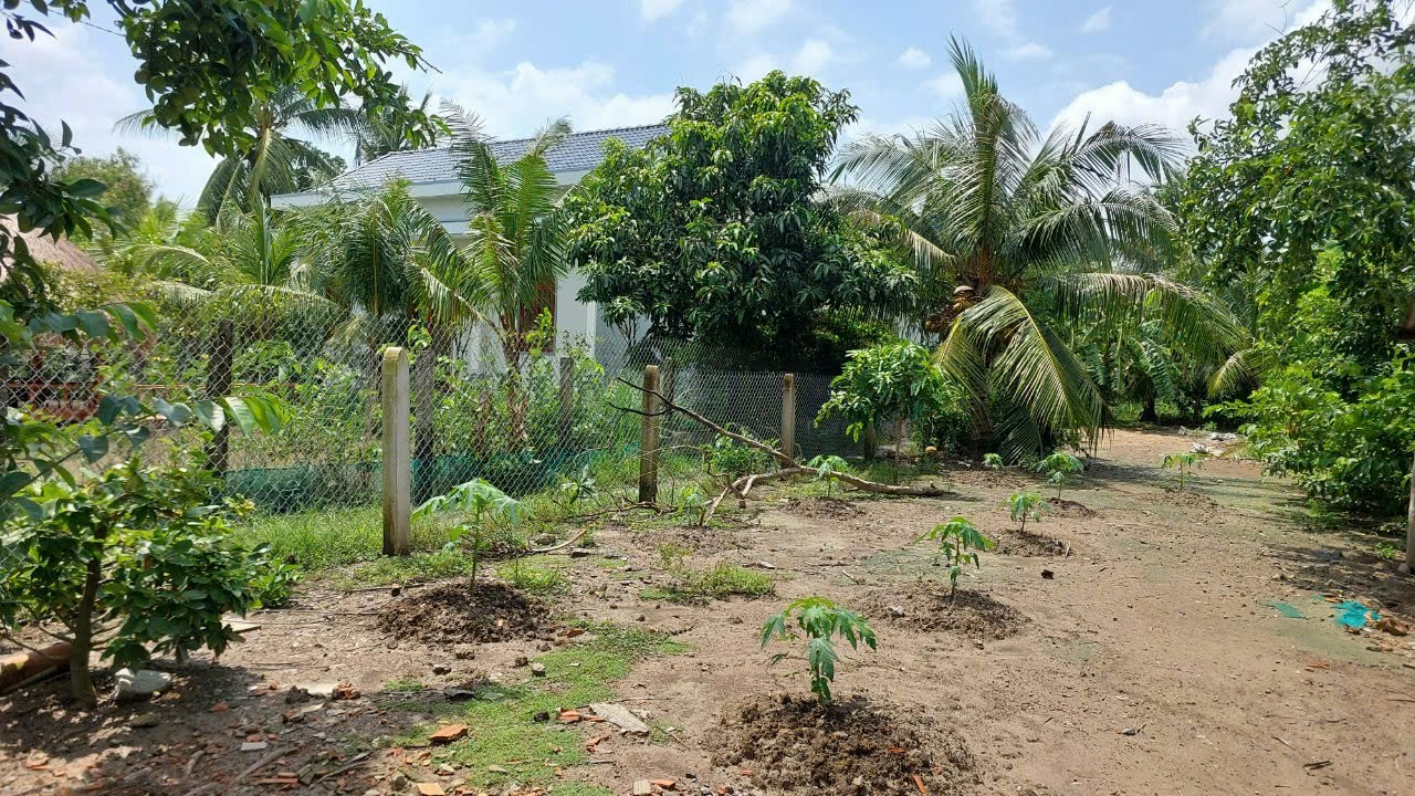 CƠ HỘI ĐẦU TƯ & NGHỈ DƯỠNG TUYỆT VỜI - ĐẤT MẶT TIỀN GÒ CÔNG TÂY, TIỀN GIANG
