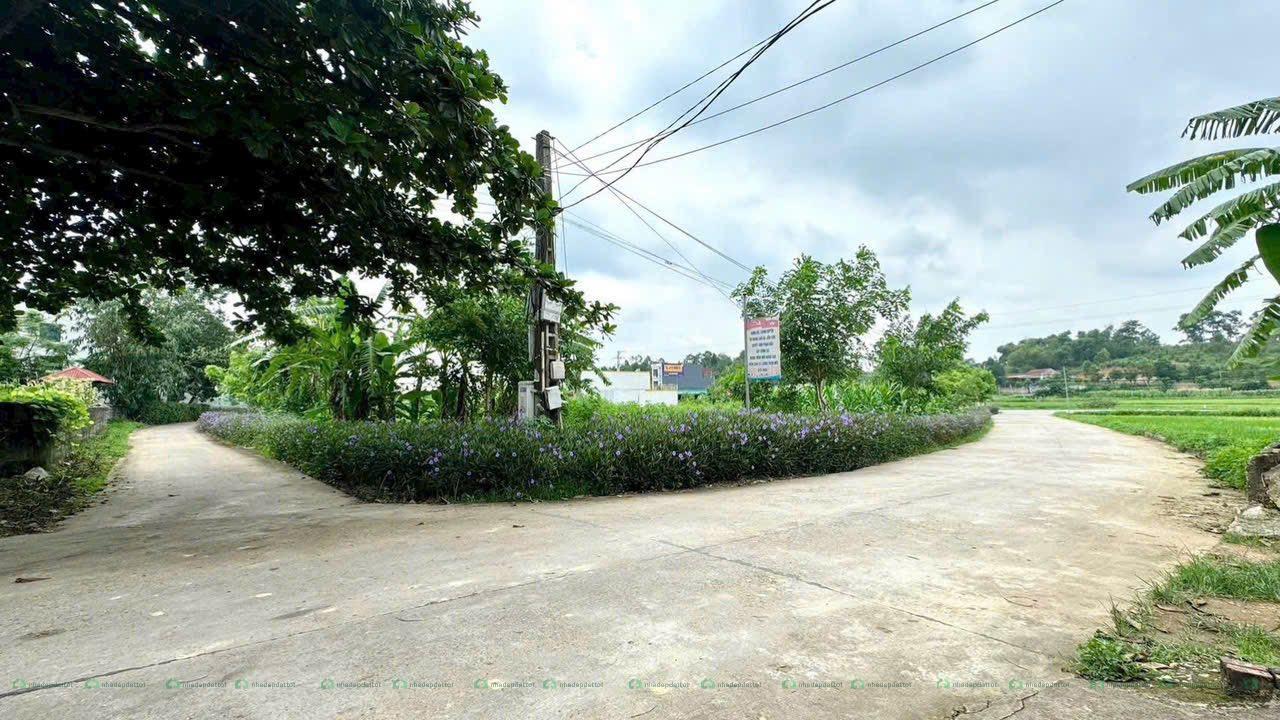 HÀNG HIẾM – MẶT TIỀN 7M, CHIỀU SÂU 21M