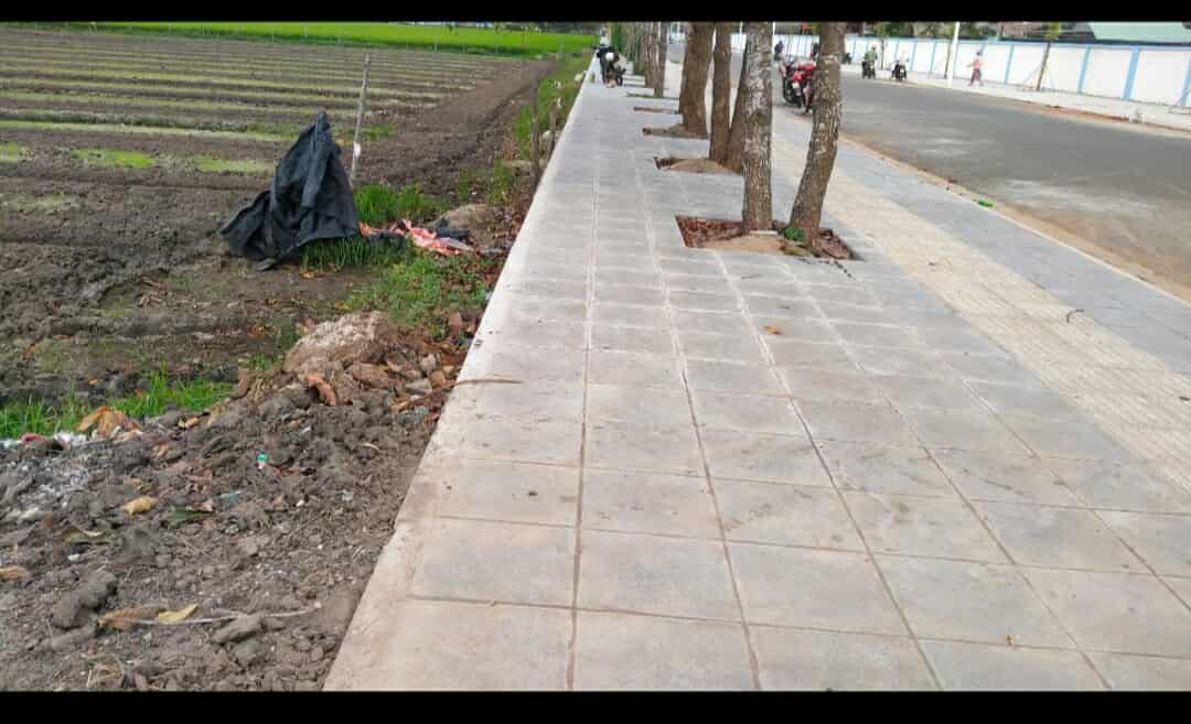 🌿 SIÊU PHẨM ĐẤT VŨNG TÀU – MẶT TIỀN 35M, CÓ THỔ CƯ, ĐÓN ĐẦU QUY HOẠCH ĐÔ THỊ MỚI 🌿