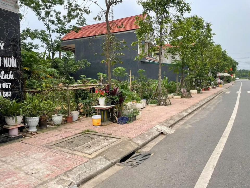 Bán đất Tam Sơn, Phú Thọ – Vị trí đẹp – 138,8m² – Giá 2 tỷ xxx