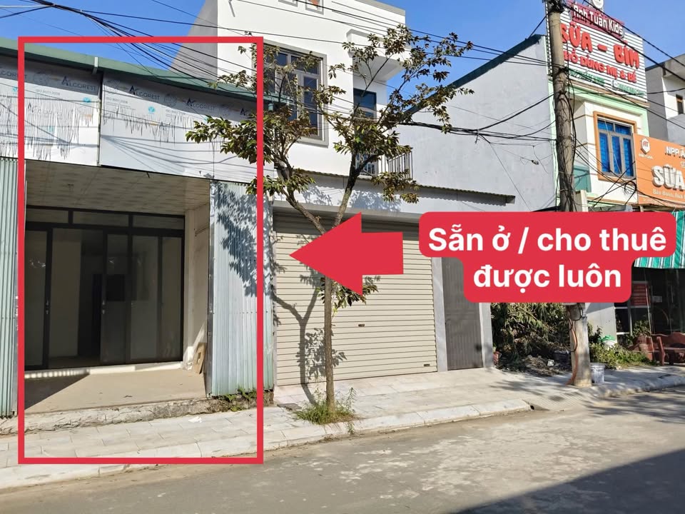 Nhà cấp 4 – Quang Trung, P. Hội Hợp – 2,6xx tỷ – ở hoặc cho thuê