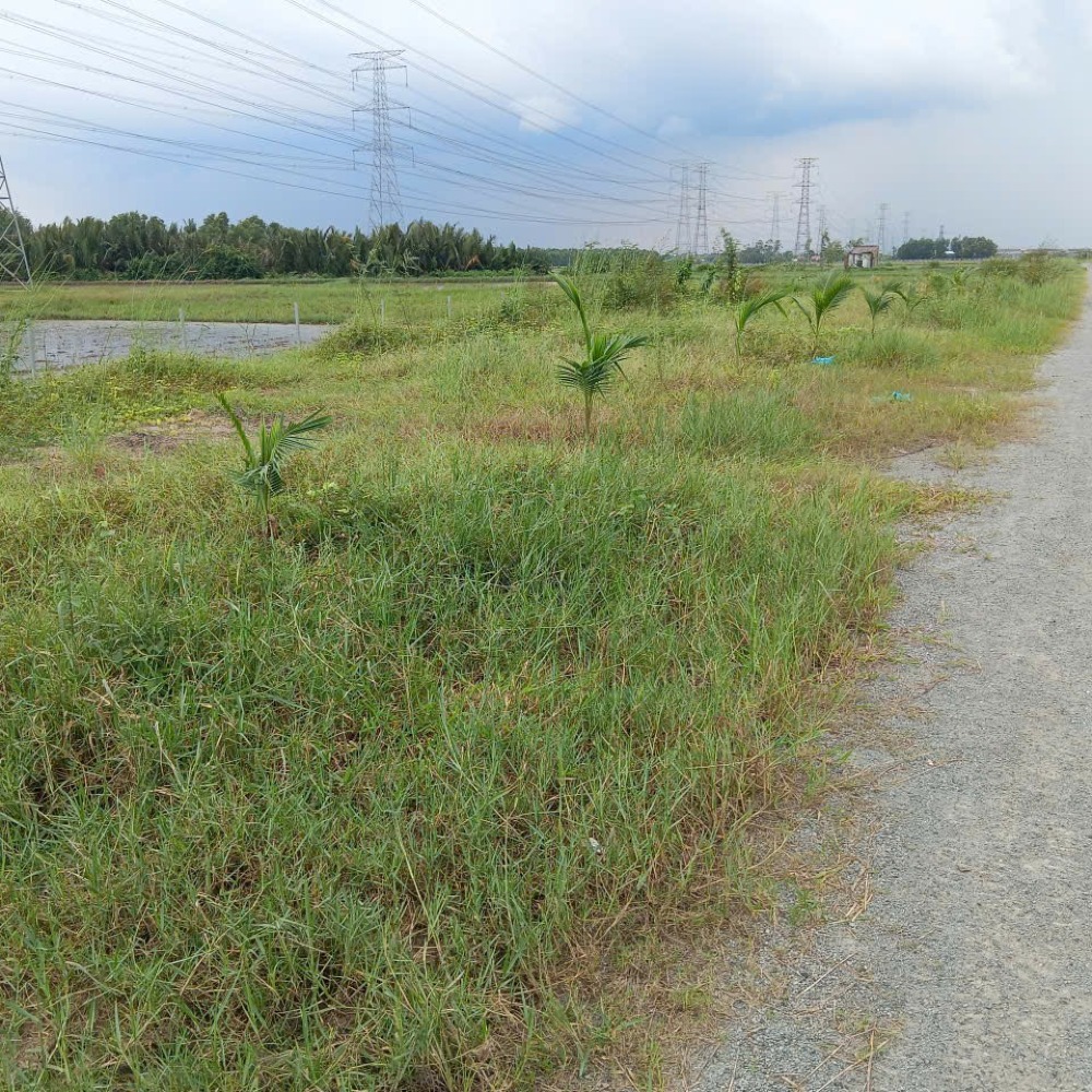 Bán Đất 376m2 Hẻm 5m, Hùng Vương, Nhơn Trạch, Đồng Nai
